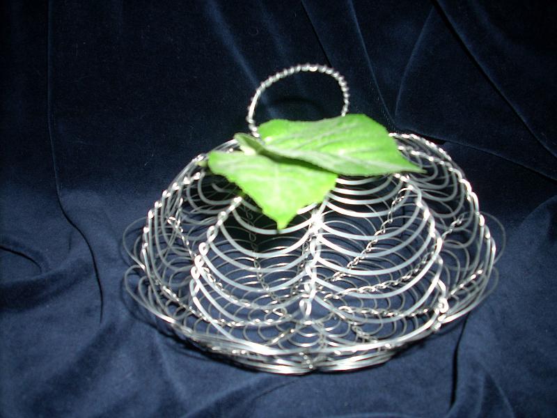 DSCN0781.JPG